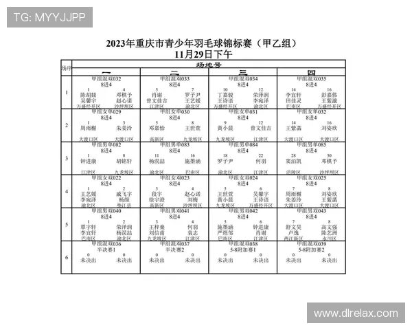 重庆羽毛球队的力量变革引发热议探讨运动发展新趋势 重庆羽毛球队的力量变革引发热议探讨运动发展新趋势