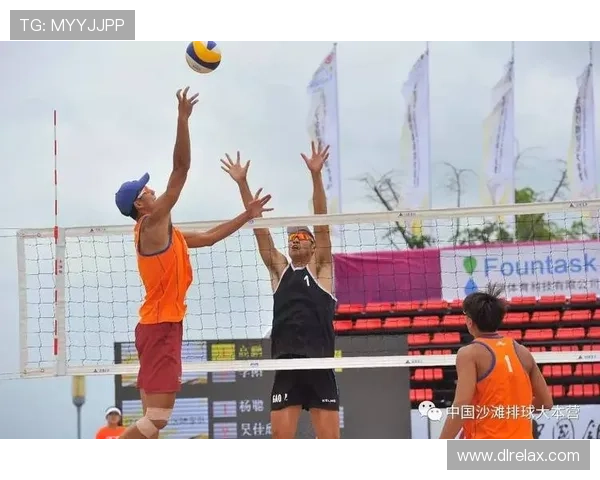 南京排球队大满贯点评：团队配合展现出色实力与默契精神